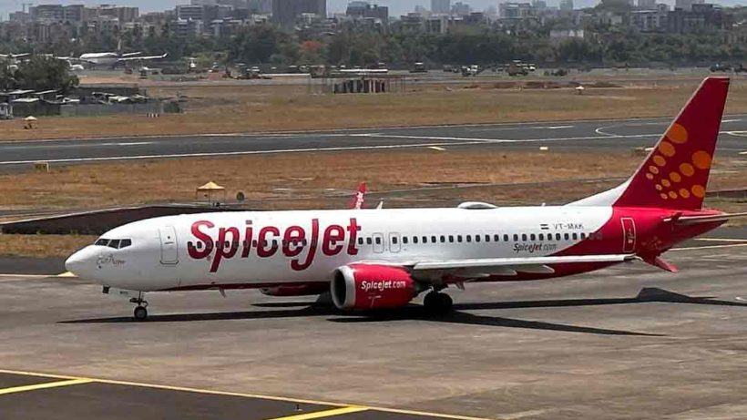 spicejet-flight-bound-for-leh-lands-in-delhi-following-bird-strike