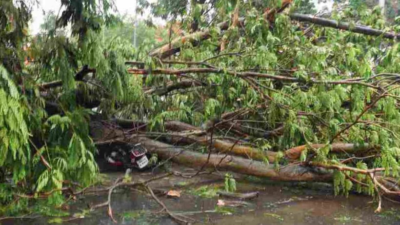 fatality-in-kolkata-as-cyclone-remal-strikes-west-bengal-and-bangladesh