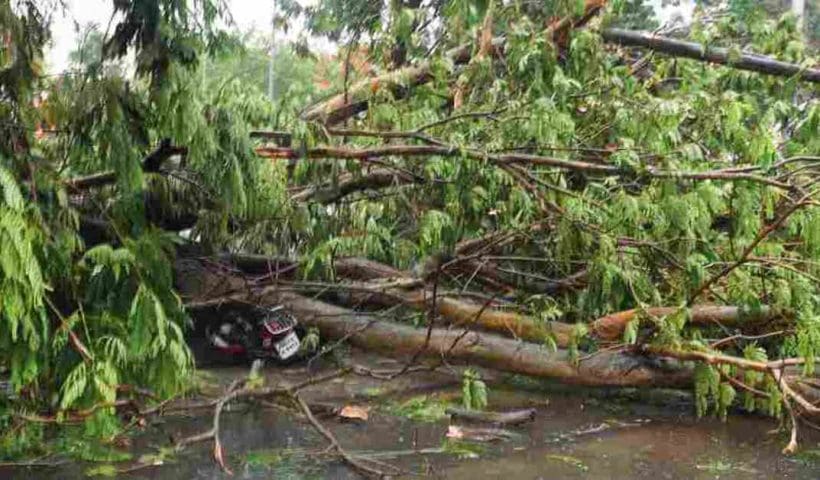 fatality-in-kolkata-as-cyclone-remal-strikes-west-bengal-and-bangladesh