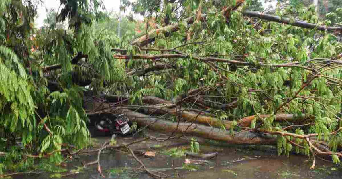 fatality-in-kolkata-as-cyclone-remal-strikes-west-bengal-and-bangladesh