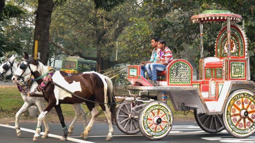 BJP leader Rupali Ganguly Urges Mamata Banerjee To Stop Horse-Drawn Carriages, কলকাতায় ঘোড়ার গাড়ি বন্ধের আবেদন