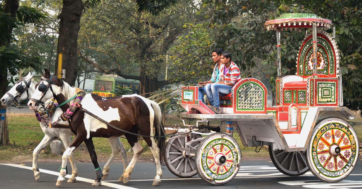 BJP leader Rupali Ganguly Urges Mamata Banerjee To Stop Horse-Drawn Carriages, কলকাতায় ঘোড়ার গাড়ি বন্ধের আবেদন