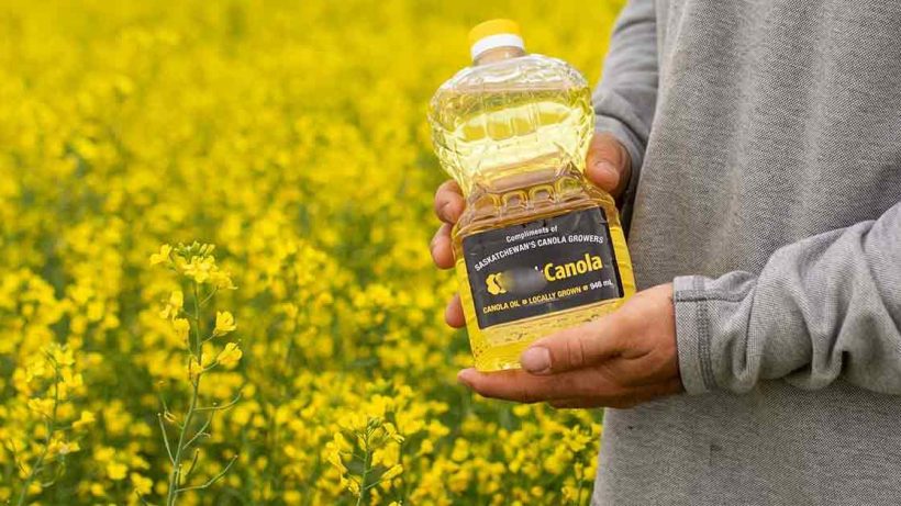 Save Canola