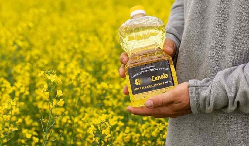 Save Canola