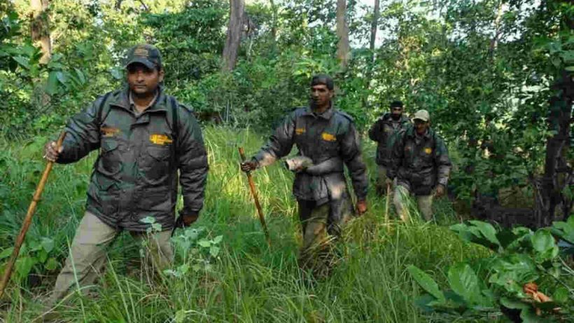 forest-range-officer-India
