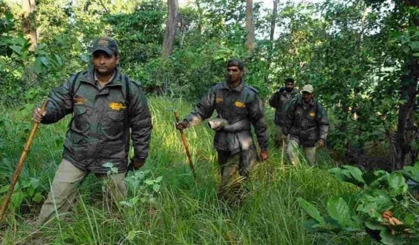 forest-range-officer-India