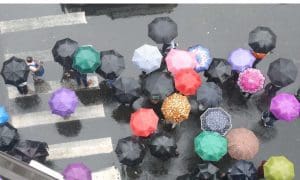 Alipur Meteorological Department has informed when monsoon in Bengal todays weather forcast 22 june 2024