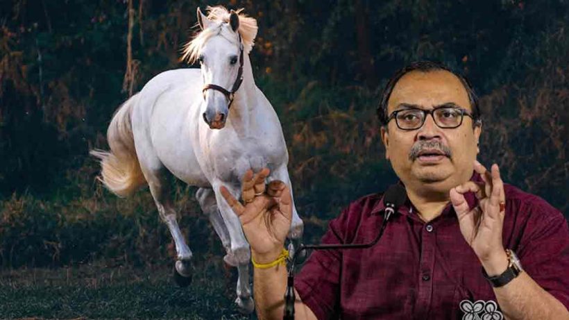 Portrait of TMC Leader Kunal Ghosh, a man with a thoughtful expression, against a neutral background