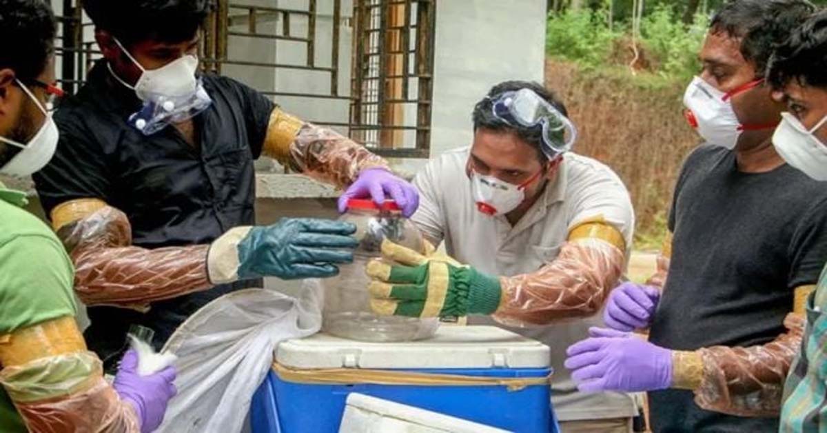 কেরলে আতঙ্ক বাড়ছে, নিপা ভাইরাসে সংক্রমিত এক কিশোরের মৃত্যু