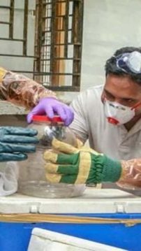 Kerala teen who tested positive for Nipah dies in Kozhikode hospital