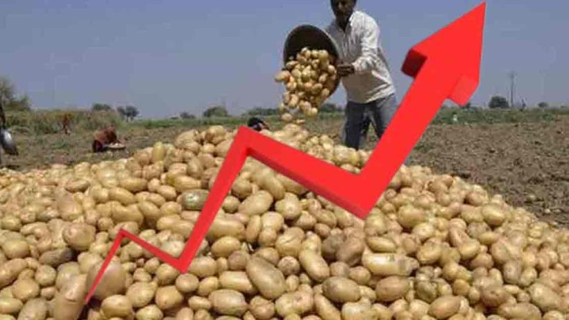 The Potato Price Hike, middle-class people are gasping for breath while buying in the market