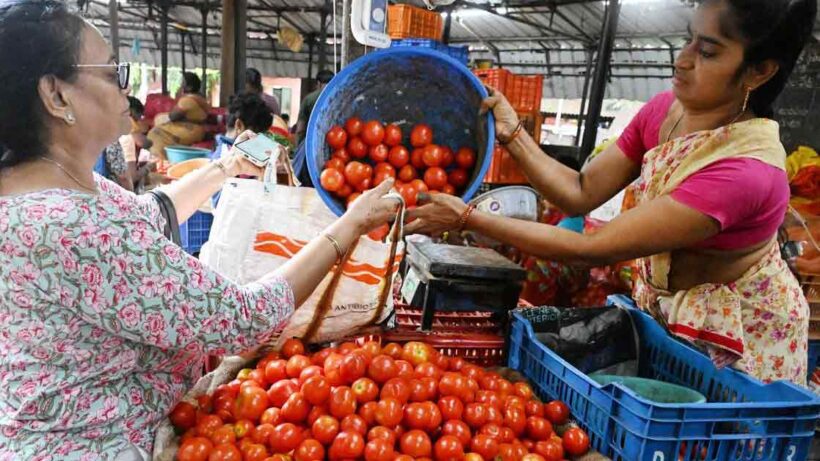 Tomato price market india lady