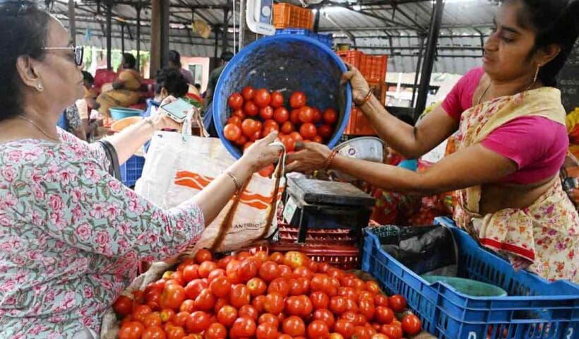 Tomato price market india lady