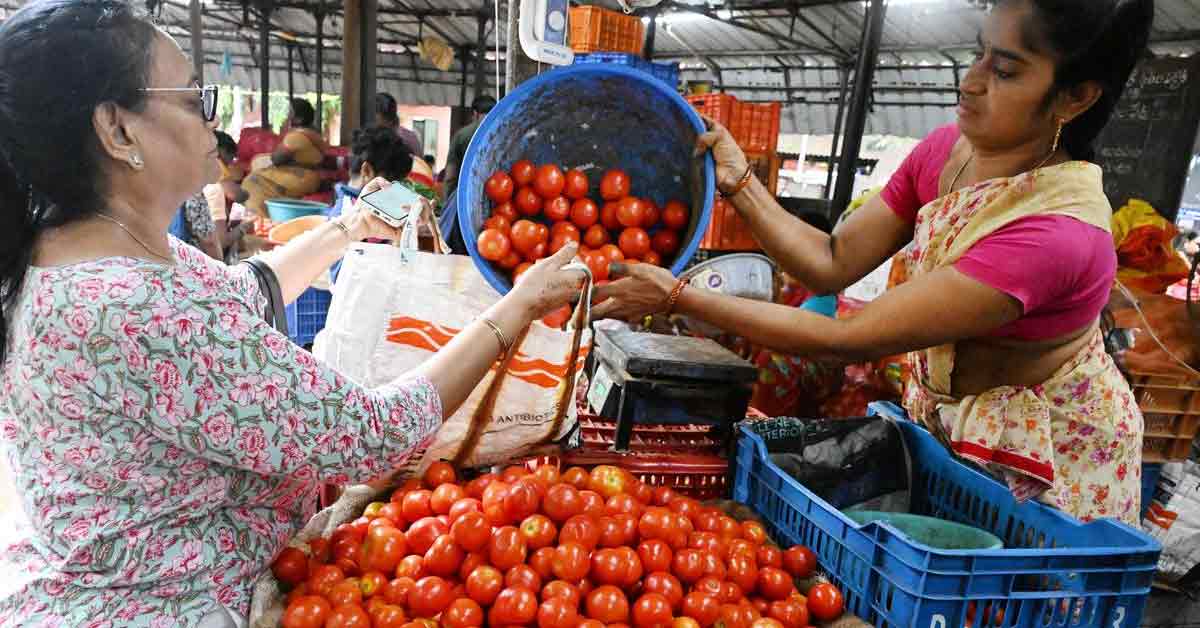 Tomato price market india lady