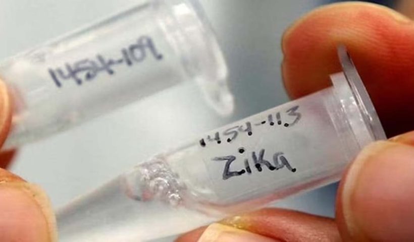 Centre issues advisory to states on Zika virus, জিকা ভাইরাস