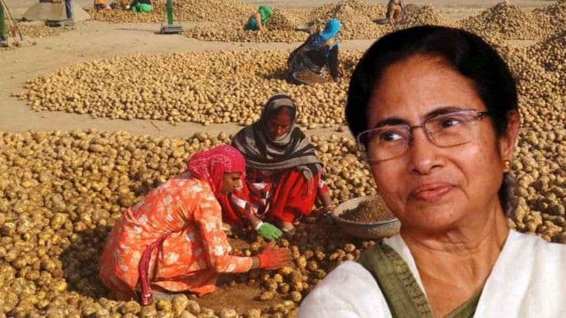 Image of Mamata Banerjee addressing the potato crisis with concern.