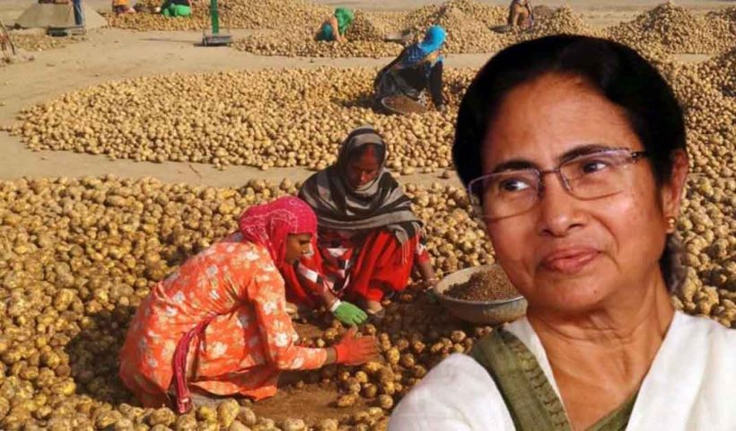 Image of Mamata Banerjee addressing the potato crisis with concern.