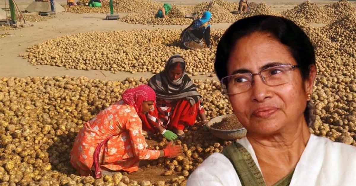 Image of Mamata Banerjee addressing the potato crisis with concern.