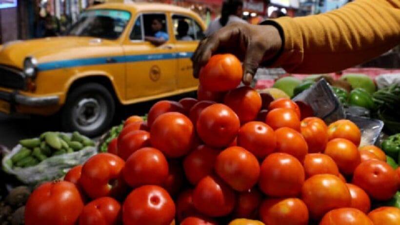 tomato 1 আচমকা টমেটোর দাম কমিয়ে দিল সরকার, স্বস্তিতে আমজনতা