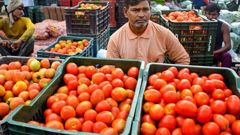 tomato 2 ৬০ টাকারও কমে মিলবে টমেটো? বিরাট ঘোষণা করলেন মোদীর মন্ত্রী