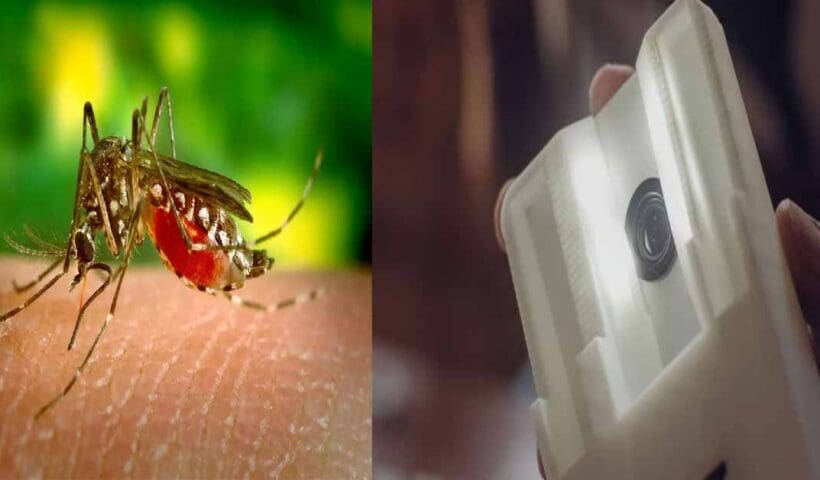 Malaria-&-Dengue