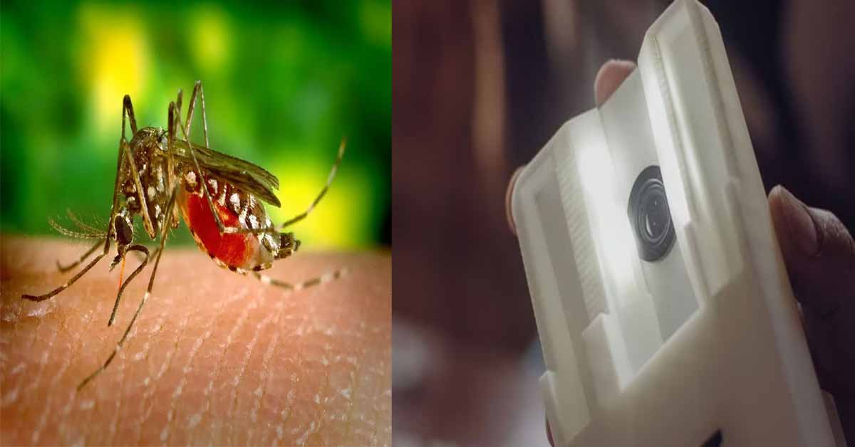 Malaria-&-Dengue