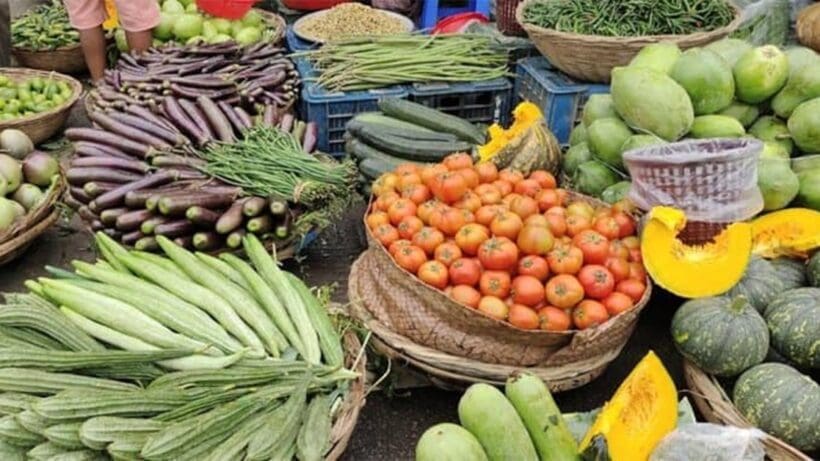 National Vegetable Of India pumkin, ভারতের জাতীয় সবজি কুমড়ো