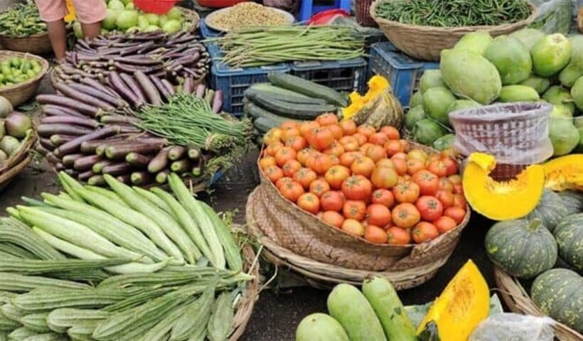 National Vegetable Of India pumkin, ভারতের জাতীয় সবজি কুমড়ো