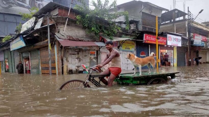 Tripura Flood. ত্রিপুরা বন্যা