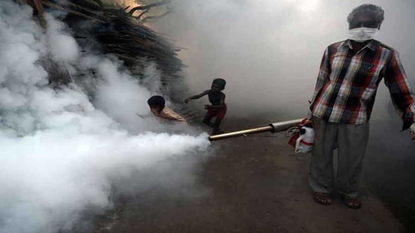 Dengue is cause of next pandemic