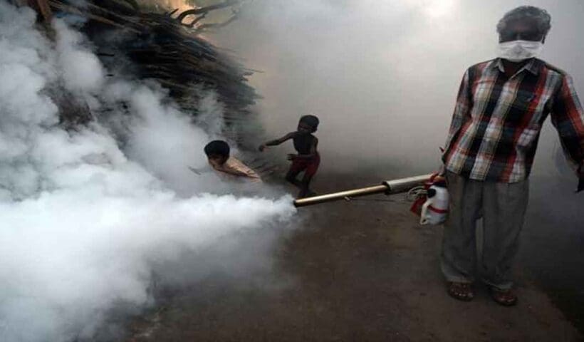 Dengue is cause of next pandemic