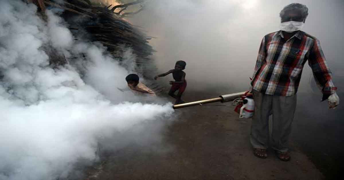 Dengue is cause of next pandemic