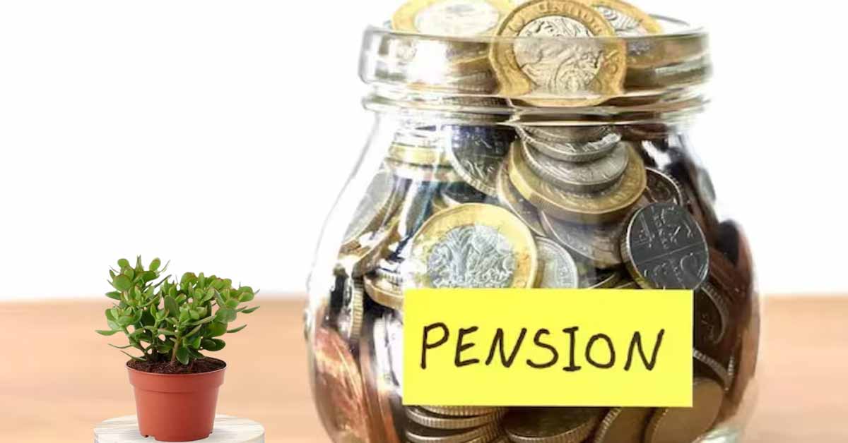 pension-scheme