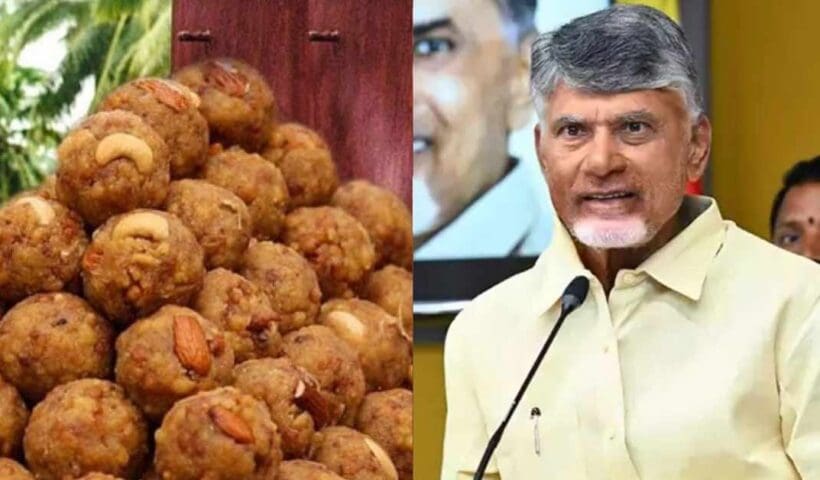 chandrababu naidu calls purification on tirupati laddu issue