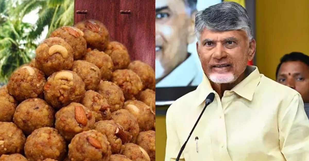 chandrababu naidu calls purification on tirupati laddu issue