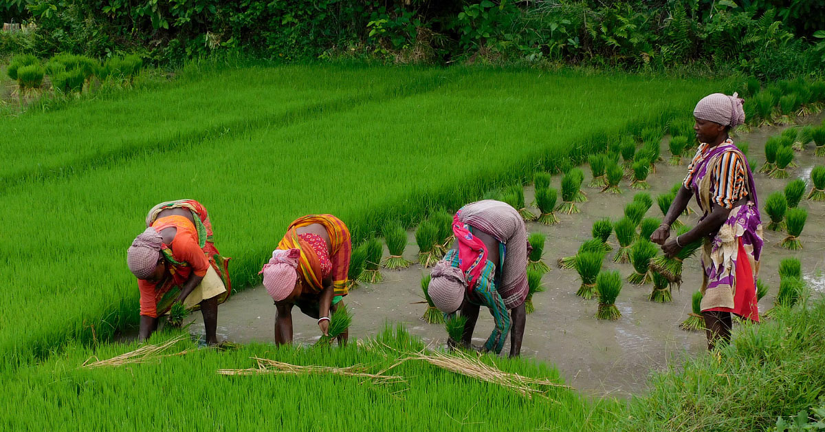 farmers