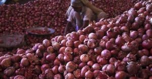 kolkata-onion-rates-steady-per-kg-as-wholesale-prices-hover-around-30-50in-west-bengal-mandis
