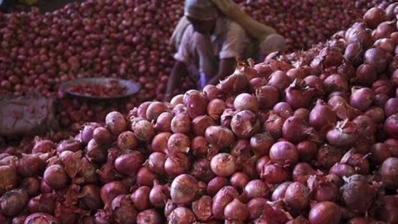 Onion prices fall after central government takes Onion And Garlic Price Hike Onion On 100 Rupees Per Kg Vegetable Latest Rate