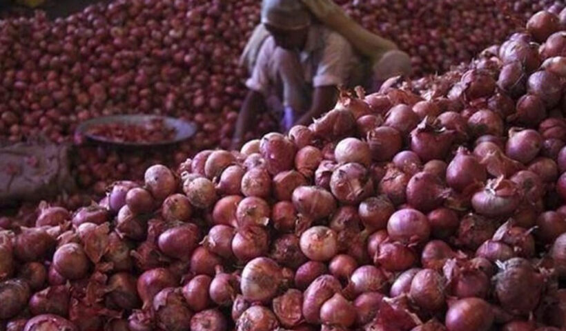 Onion prices fall after central government takes measures