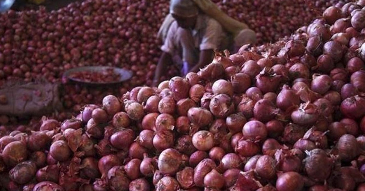 Onion prices fall after central government takes measures