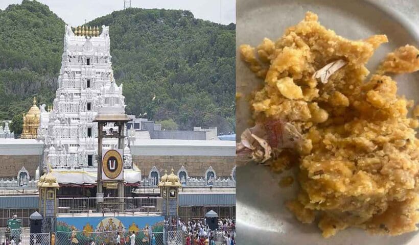 Tobacco Controversy in Tirupati Laddu Raises Concerns Among Devotees