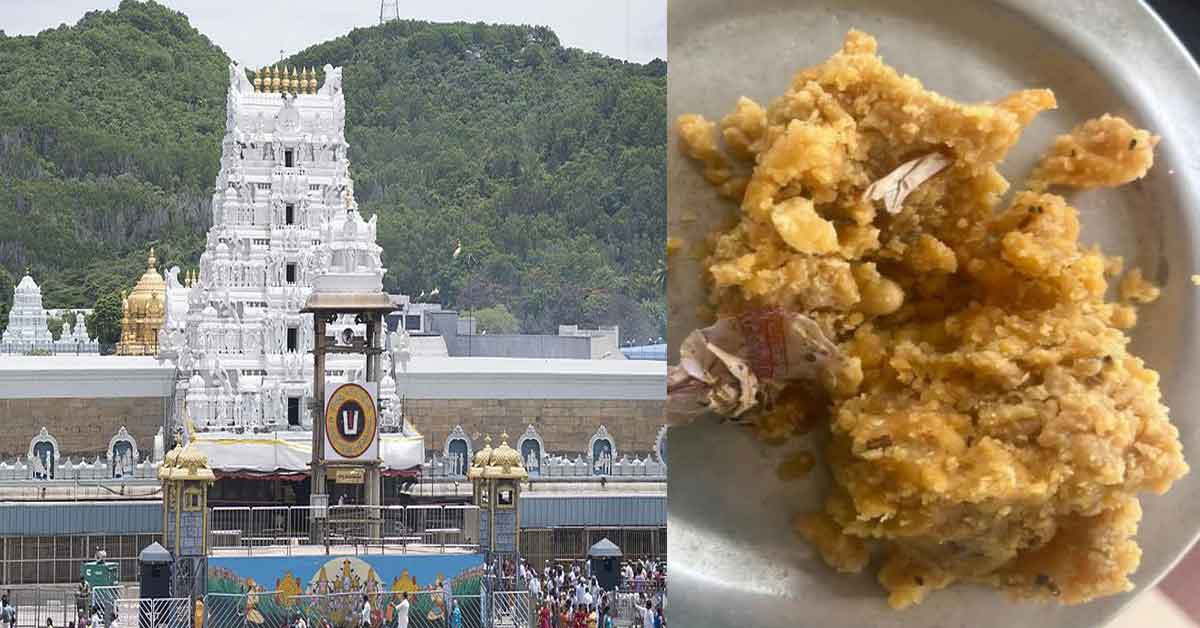 Tobacco Controversy in Tirupati Laddu Raises Concerns Among Devotees