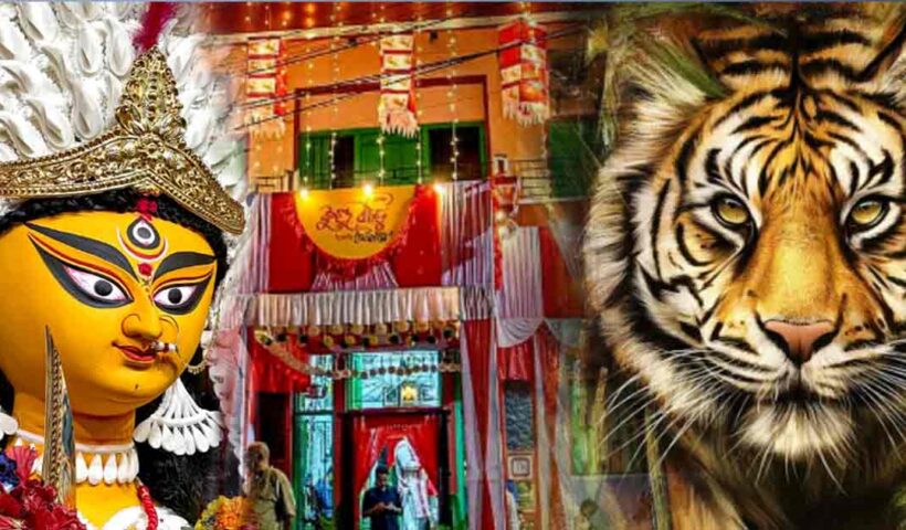 Ma Durga Arrives at Hatibagan's Kundu House on a Majestic Sundarban Tiger!