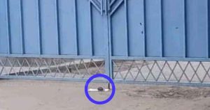 Manipur bomb scare