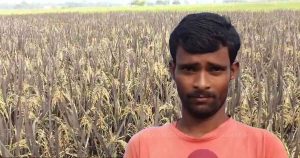 Murshidabad Farmer’s Sugar-Free Rice Cultivation