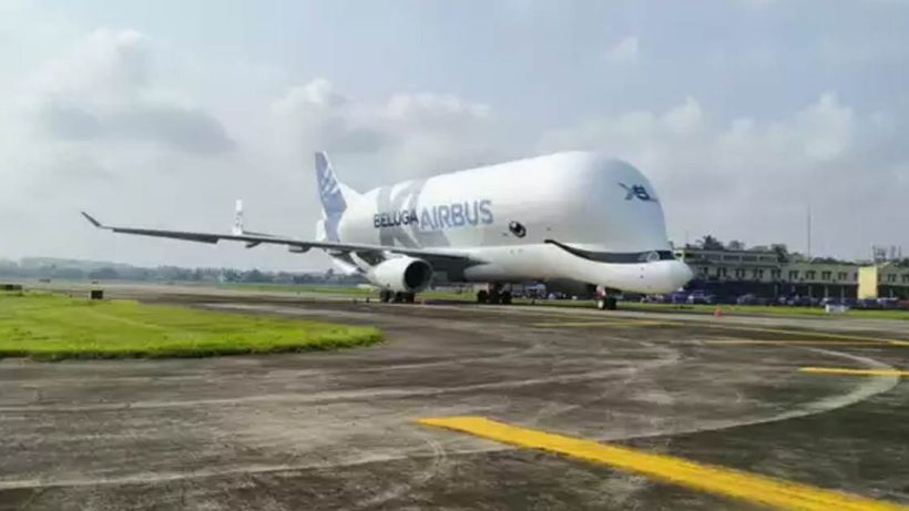 Beluga XL of the Airbus Beluga series