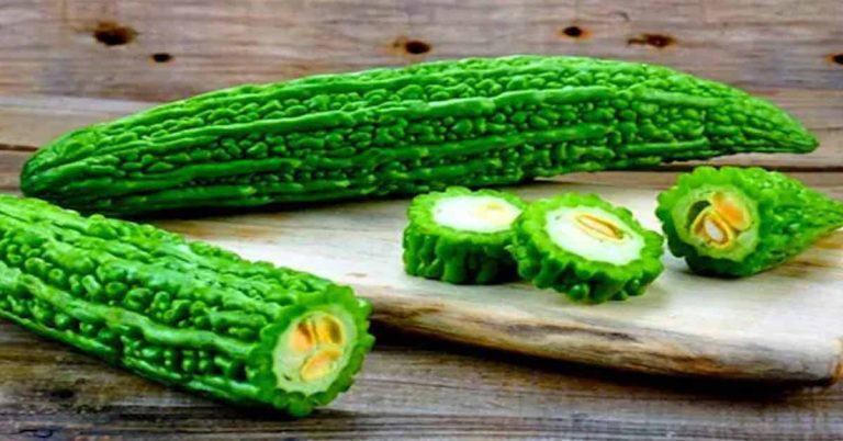 করলার স্বাদ হল ‘সেঞ্চুরি’ সমান তেতো
