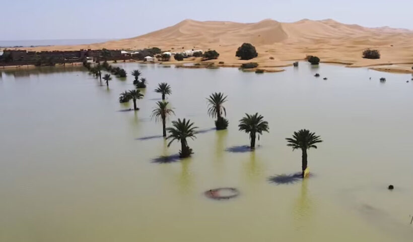 Sahara Desert flooded