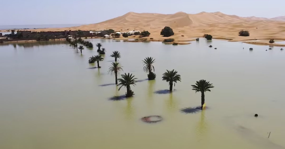 Sahara Desert flooded