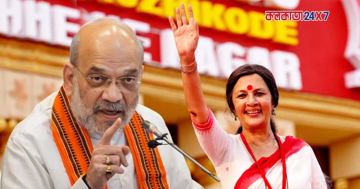 Brinda Karat Criticizes Amit Shah